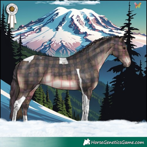 Horse Color:Plaid  Brown Tobiano Varnish 