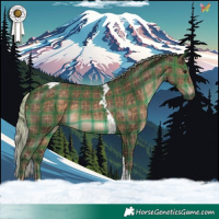 Horse Color:Plaid Silver Brown Tobiano