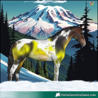 Horse Color:Brown Tobiano 