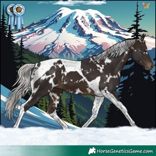 Horse Color:White Spotted Silver Brown Tobiano 