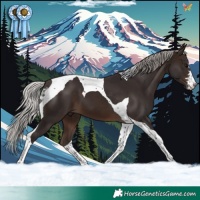Horse Color:Silver Brown Tobiano