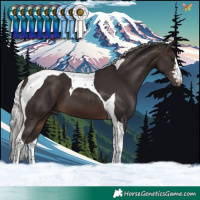 Horse Color:Silver Brown Tobiano 