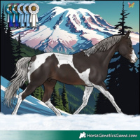 Horse Color:Silver Brown Tobiano