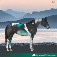 Horse Color:Brown Tobiano 