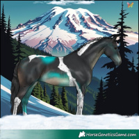 Horse Color:Brown Tobiano