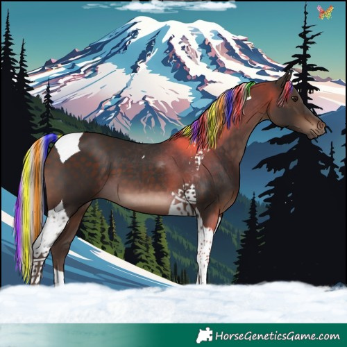 Horse Color:Painted Silver Brown Tobiano 