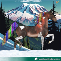 Horse Color:Painted Silver Brown Tobiano