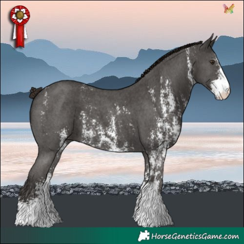 Horse Color:Liver Chestnut Sabino 