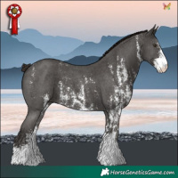 Horse Color:Liver Chestnut Sabino
