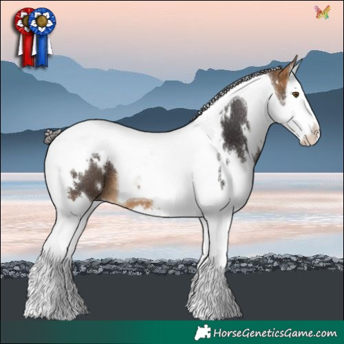 Horse Color:White Spotted Buckskin Splash Tobiano 