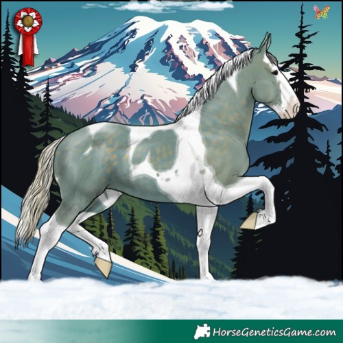 Horse Color:Watercolor Silver Black Splash Tobiano 