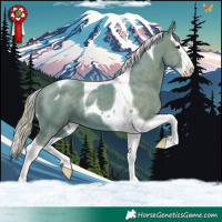 Horse Color:Watercolor Silver Black Splash Tobiano