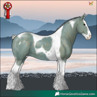 Horse Color:Watercolor Silver Black Splash Tobiano