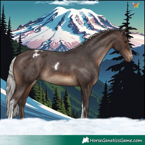Horse Color:Silver Brown Tobiano Varnish 