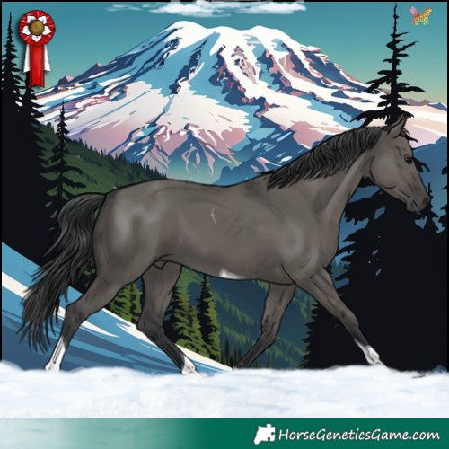 Horse Color:Grullo Tobiano 