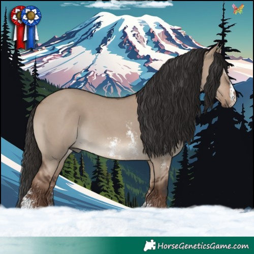 Horse Color:Liver Red Dun Sabino