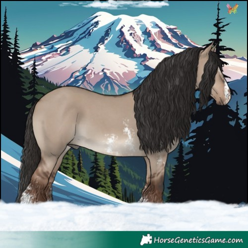 Horse Color:Liver Red Dun Sabino 