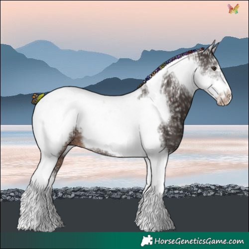 Horse Color:Painted Liver Chestnut Ice Tobiano Frame 