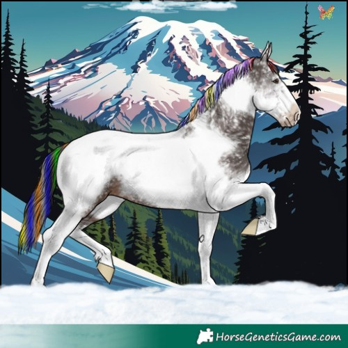 Horse Color:Painted Liver Chestnut Ice Tobiano Frame 