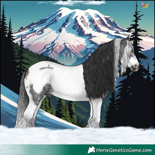 Horse Color:Brown Sabino Splash Tobiano Frame