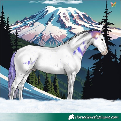 Horse Color:Watercolor White Spotted Buckskin Splash Tobiano