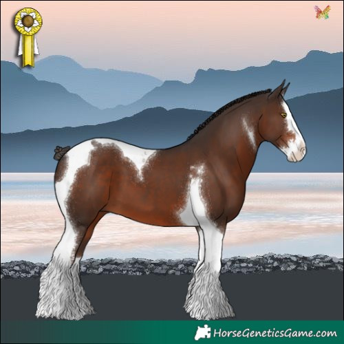 Horse Color:Liver Chestnut Splash Tobiano 