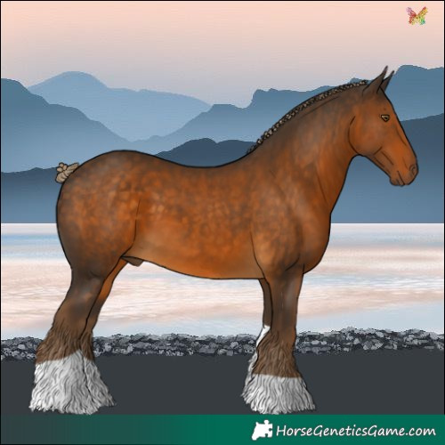 Horse Color:Chocolate Palomino Tobiano 