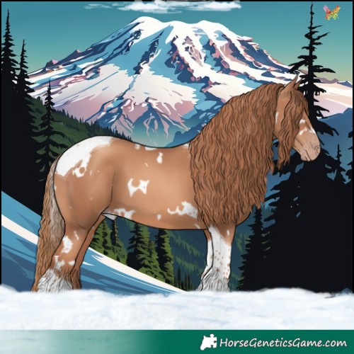 Horse Color:White Spotted Gold Champagne Tobiano 