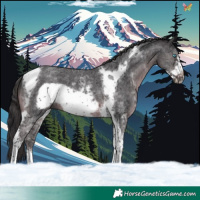 Horse Color:Smoky Black Sabino Tobiano Frame