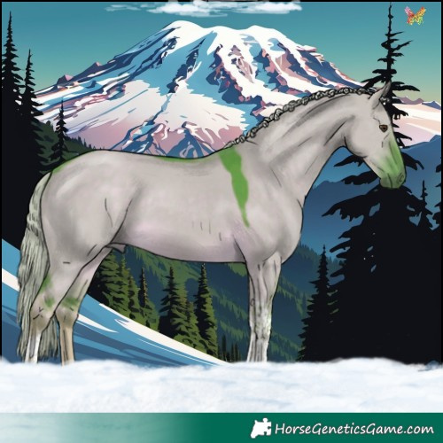 Horse Color:Watercolor Chocolate Palomino Dun Tobiano Rabicano 