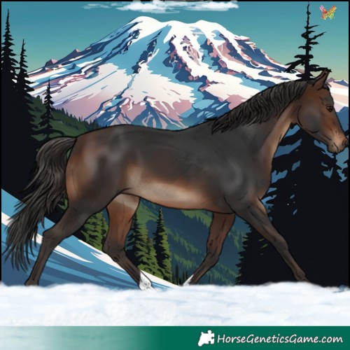 Horse Color:Brown 