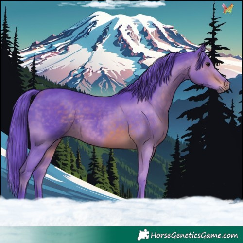 Horse Color:Watercolor Bay