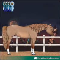 Horse Color:Red Dun Tobiano 