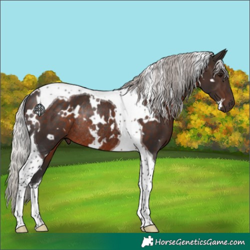 Horse Color:White Spotted Silver Brown Tobiano Rabicano 
