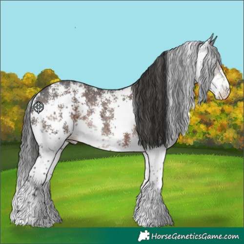 Horse Color:Liver Chestnut Sabino Rabicano 