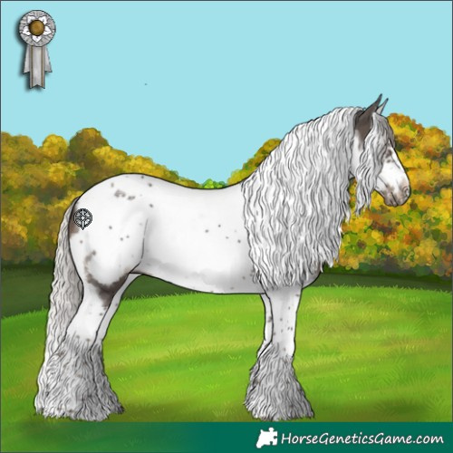 Horse Color:Silver Black Splash Tobiano Frame 