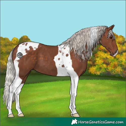 Horse Color:Silver Black Tobiano