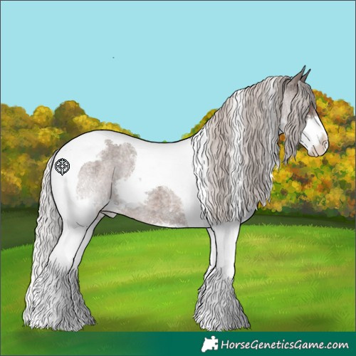 Horse Color:Silver Blue Roan Splash Tobiano Varnish 