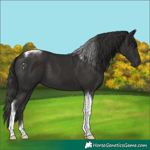 Horse Color:Liver Chestnut Tobiano 