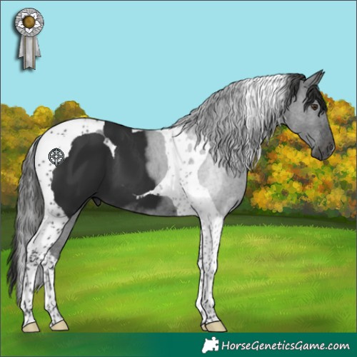 Horse Color:Liver Chestnut Tobiano 