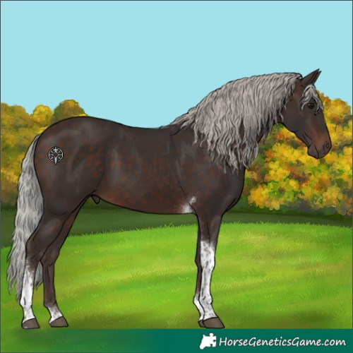 Horse Color:Silver Brown Tobiano 