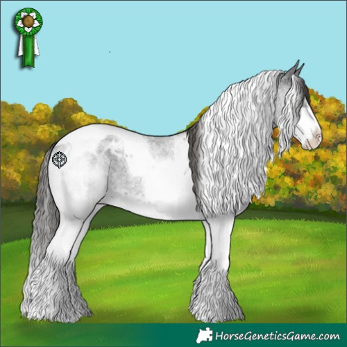 Horse Color:Blue Roan Splash Tobiano Blanket 