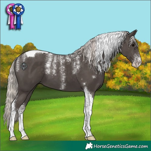 Horse Color:Powder White Silver Black Tobiano 