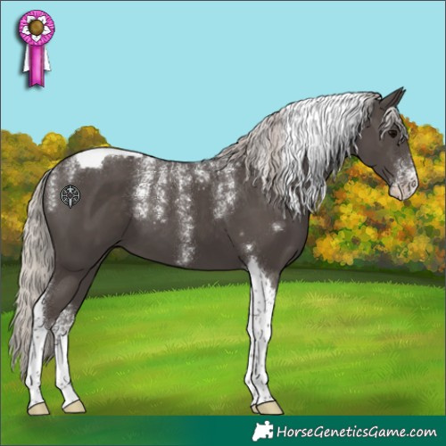 Horse Color:Powder White Silver Black Tobiano 