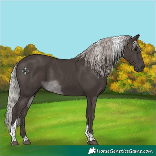 Horse Color:Silver Black Tobiano 