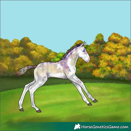 Horse Color:Powder White Watercolor Plaid  Liver Red Onyx Ice Splash 