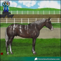 Horse Color:Powder White Silver Brown Rabicano 