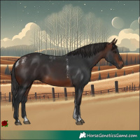 Horse Color:Powder White Brown