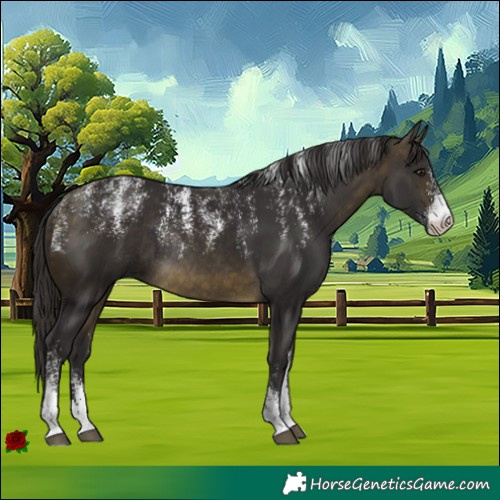 Horse Color:Powder White Buckskin Rabicano 