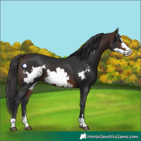 Horse Color:Brown Frame 